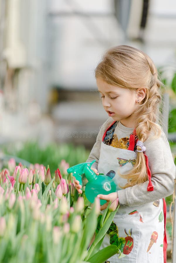 Klein meisje sproineert watertulpen in de kas royalty-vrije stock foto Klein meisje sproineert watertulpen in de kas royalty-vrije stock foto