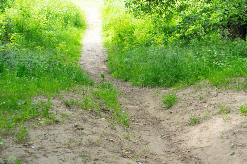 Klein weg groen gras stock afbeelding