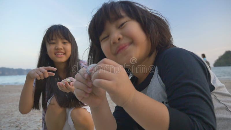 Kleine Aziatische kinderen die shells op het strand plukken