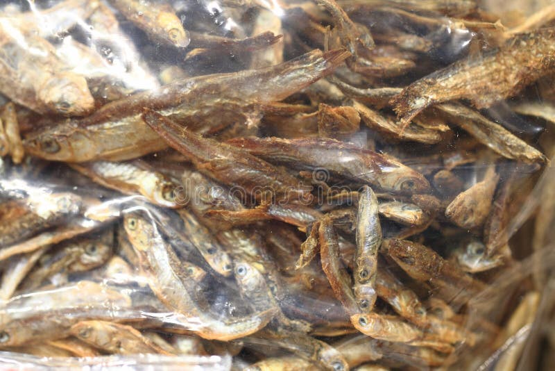 Kleine droge vissen stock foto's