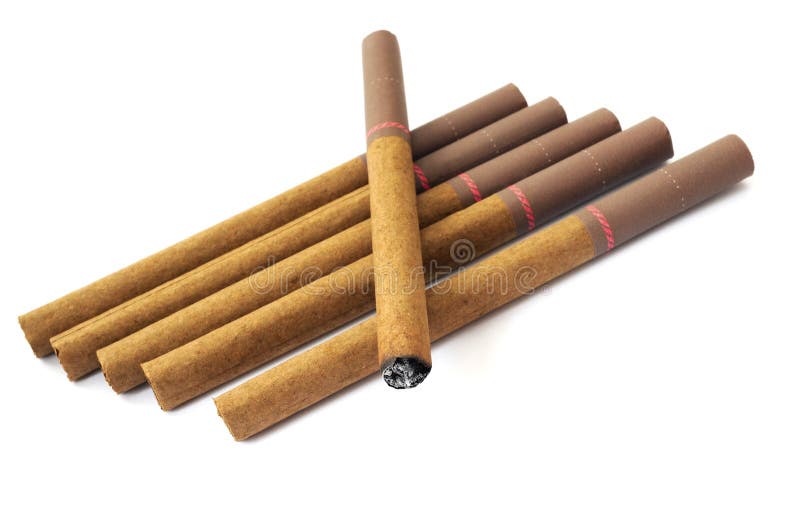 little cigars in a row isolated. little cigars in a row isolated