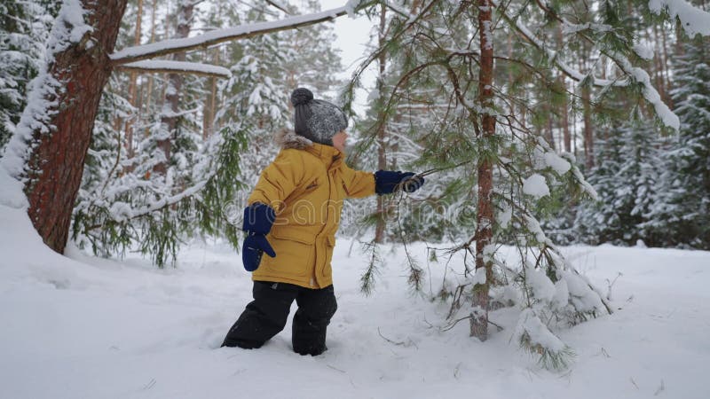 Kleine jongen in een geel jasje en gebreide hoed die in het bos van een winterkind speelt , onderzoekt de natuur