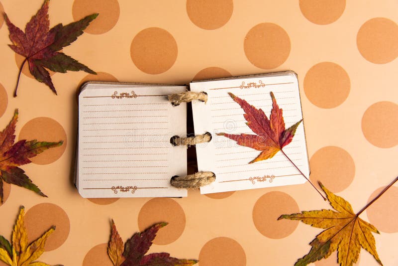 Kleine Notizbuch- und Herbstblätter auf einer Tabelle lizenzfreie stockfotos Kleine Notizbuch- und Herbstblätter auf einer Tabelle lizenzfreie stockfotos