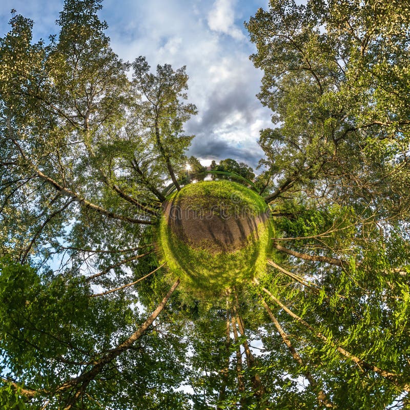 Kleine Planetentransformation des kugelförmigen Panoramas 360 Grad Geografische abstrakte Luftsicht in piny forest Curvature of s lizenzfreies stockbild