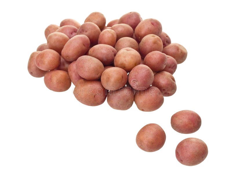 Kleine rode aardappels stock foto Kleine rode aardappels stock foto