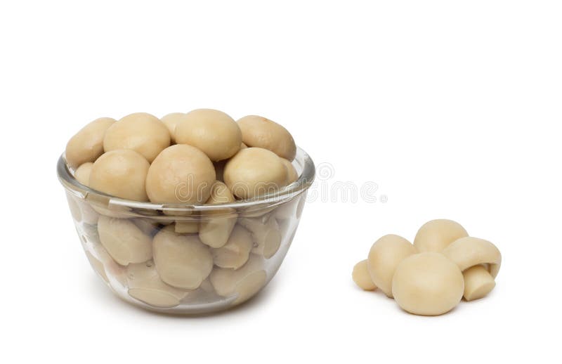 Kleine schotel van smakelijke ingeblikte gesneden paddestoelen royalty-vrije stock afbeeldingen Kleine schotel van smakelijke ingeblikte gesneden paddestoelen royalty-vrije stock afbeeldingen
