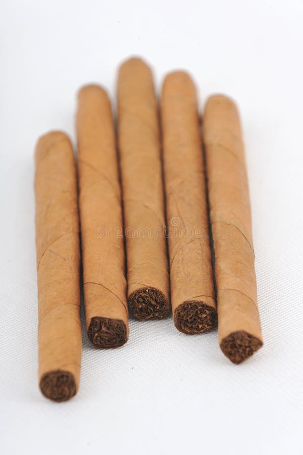 Small cigars on white background. Small cigars on white background