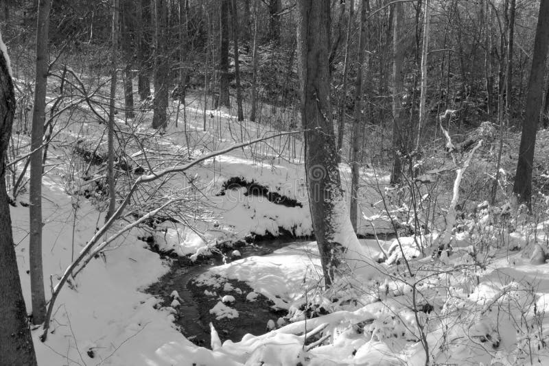 Download Kleine Stroom In De Wintersneeuw Stock Afbeelding - Afbeelding bestaande uit zwart, winter: 107706455