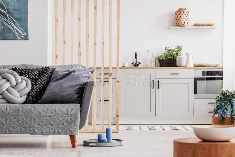 Kleine Studiowohnung mit zeitgenössischer Küche und grauem Sofa, wirkliches Foto