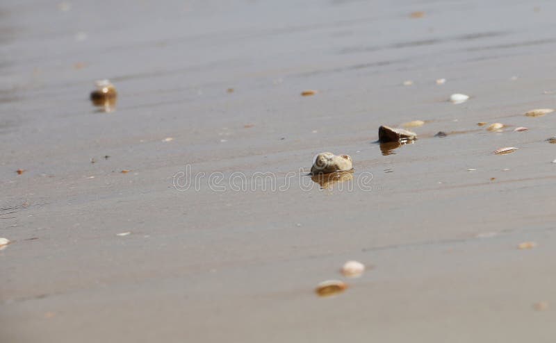 Kleine vlotte opgepoetste stenen op het strand in het zand op achtergrond van overzees, golven en hemel Het exemplaarruimte van d stock foto Kleine vlotte opgepoetste stenen op het strand in het zand op achtergrond van overzees, golven en hemel Het exemplaarruimte van d stock foto