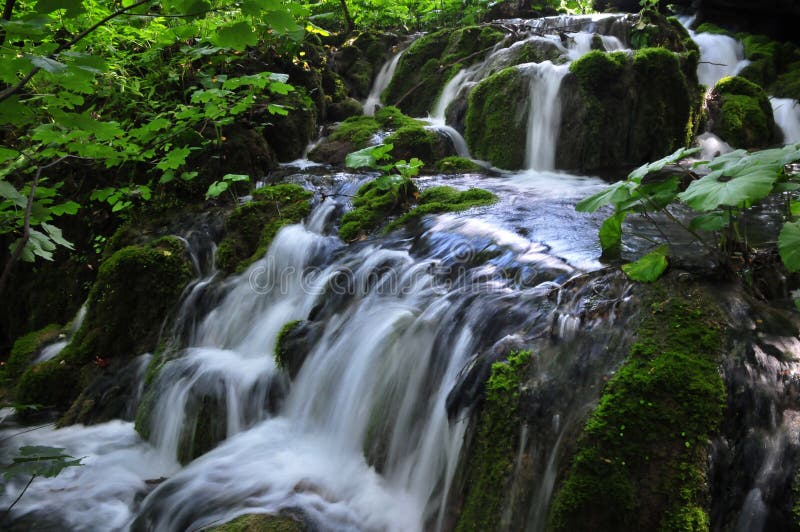 Kleine Wasserfälle an den Plitvice Seen stockbild Kleine Wasserfälle an den Plitvice Seen stockbild