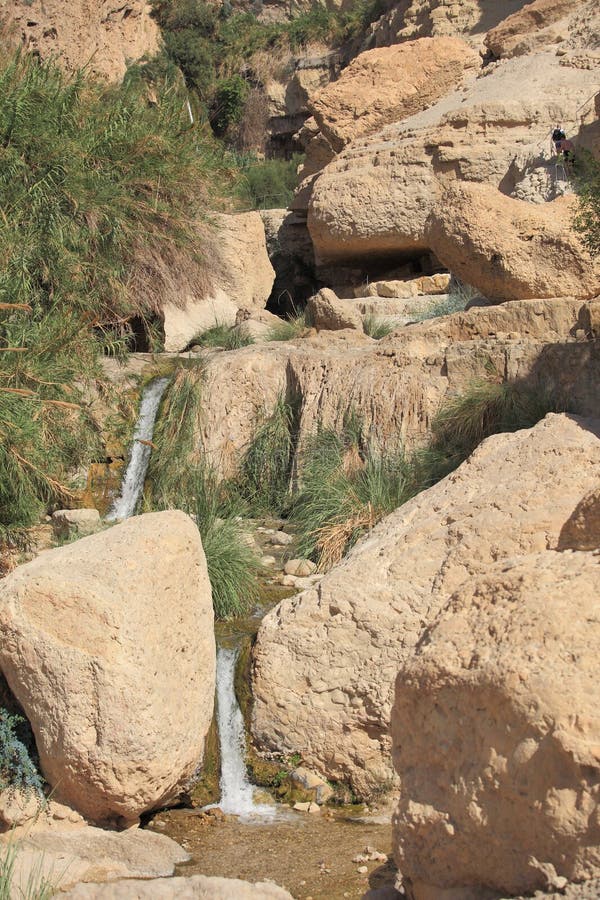Kleine Waterval & Stroom in de Oase van Ein Gedi royalty-vrije stock afbeeldingen Kleine Waterval & Stroom in de Oase van Ein Gedi royalty-vrije stock afbeeldingen
