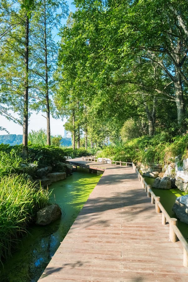 Kleine weg door het meer royalty-vrije stock fotografie