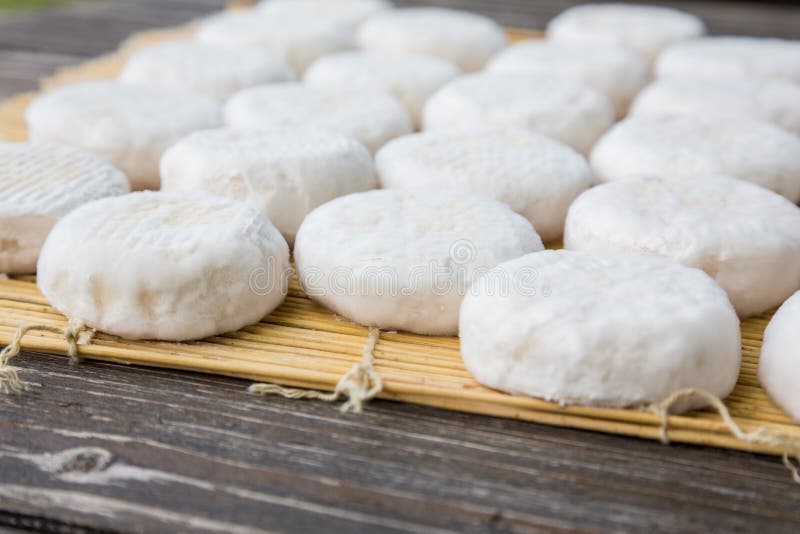 Set of small heads of young goat cheese crottin lying on wooden boards. Set of small heads of young goat cheese crottin lying on wooden boards