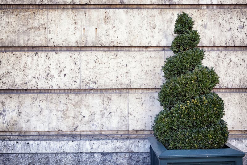 Kleiner Busch stockfoto. Bild von rückseite, grün, idyllisch 30130920