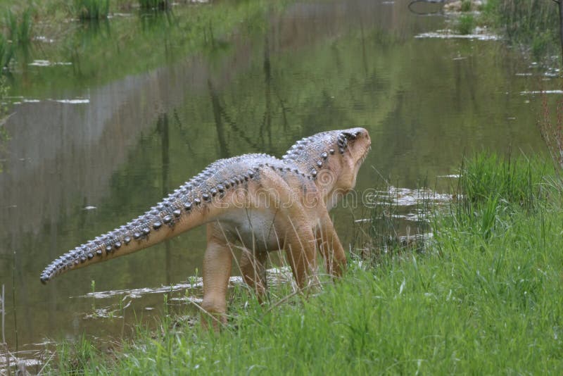 Kleiner Dinosaurier stockfoto. Bild von heftig, fossil - 989170