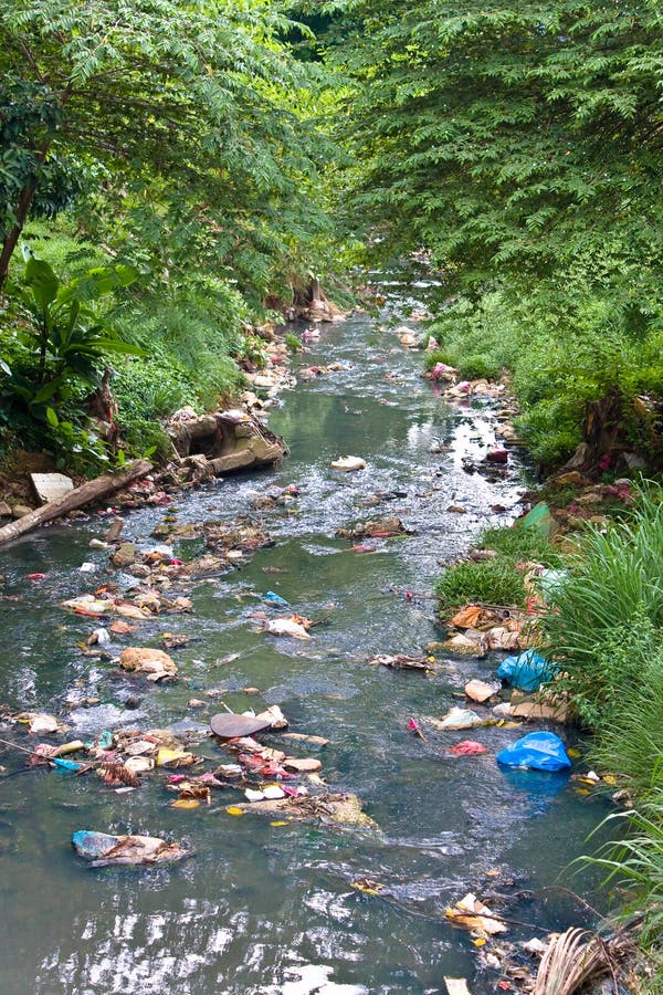 Kleiner Fluss  Beschmutzt Mit Abfall Stockfoto Bild von 