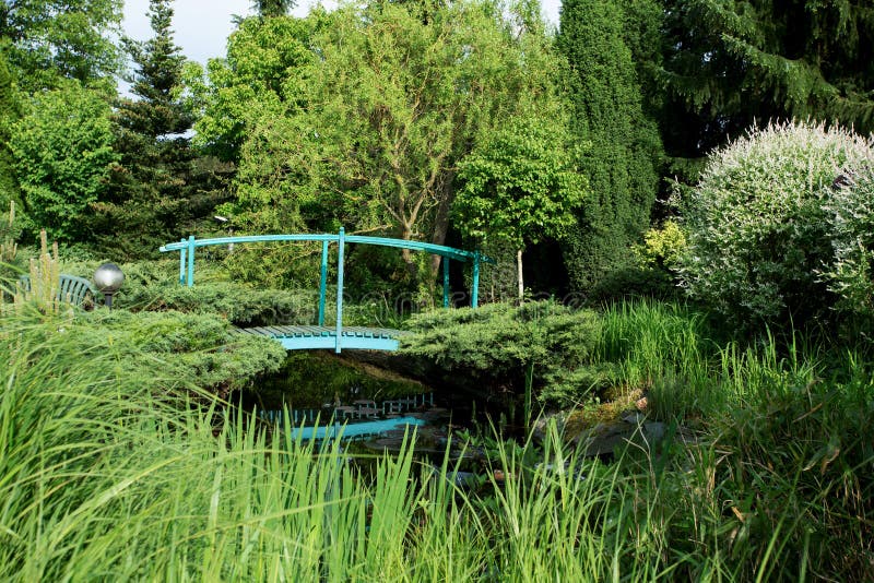 Kleiner Grüner Steg über Einem Teich Stockfoto Bild von gras