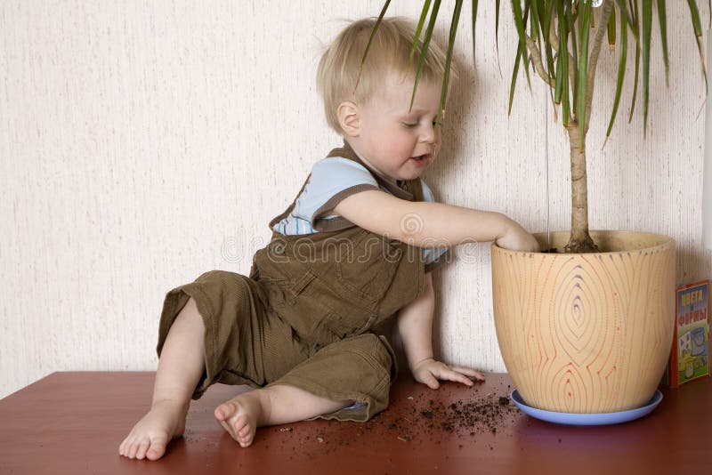 Kleiner Gärtner stockbild. Bild von wachstum, garten 17389551