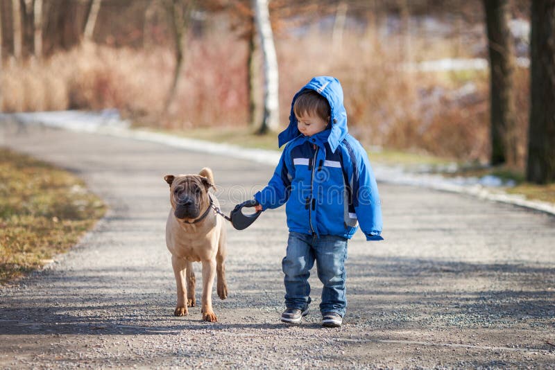 Kleiner Junge im Park mit seinem Hundefreund stockbilder Kleiner Junge im Park mit seinem Hundefreund stockbilder