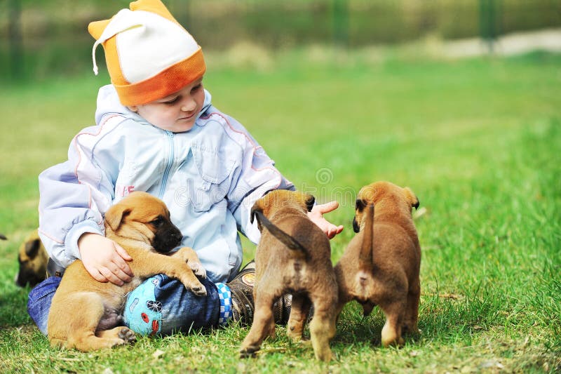 Kleiner Junge mit Welpen stockbilder Kleiner Junge mit Welpen stockbilder