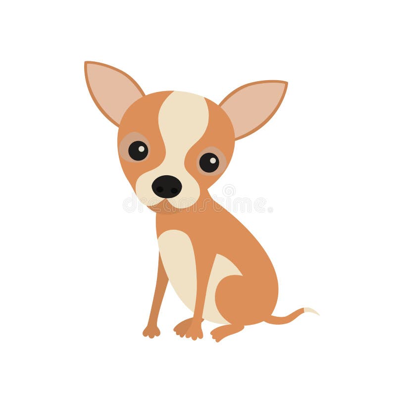 Kleiner netter sitzender Chihuahuawelpe Wenig brauner Taschenhund, lokalisiert auf weißem Hintergrund stock abbildung