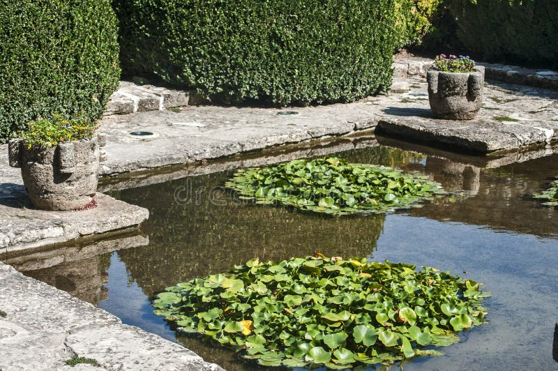 Kleiner Teich im Garten stockbild. Bild von landschaft