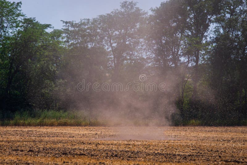 Kleiner Tornado oder Wirbelwind mit Staub auf einem Gebiet lizenzfreie stockfotografie Kleiner Tornado oder Wirbelwind mit Staub auf einem Gebiet lizenzfreie stockfotografie