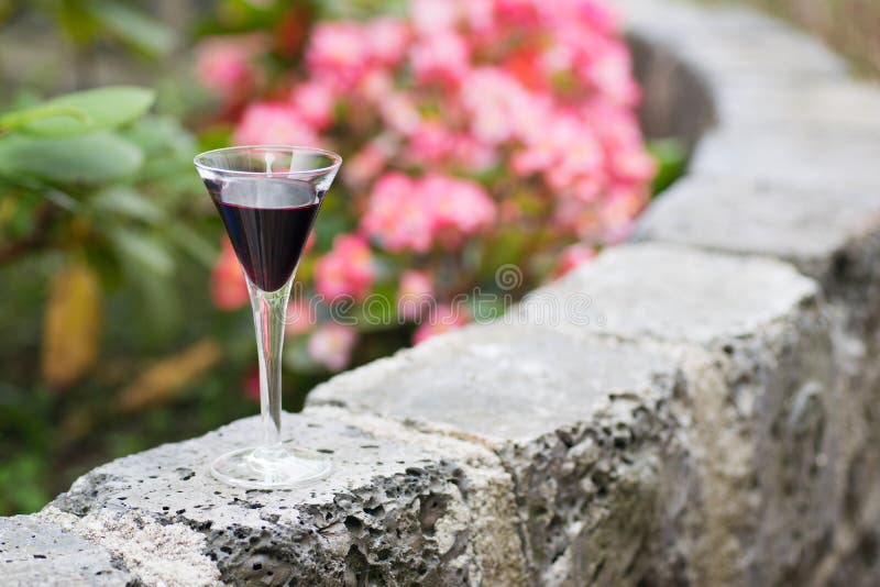 Kleines Glas Wein Im Garten Stockfoto Bild Von Haus Glas 97760620