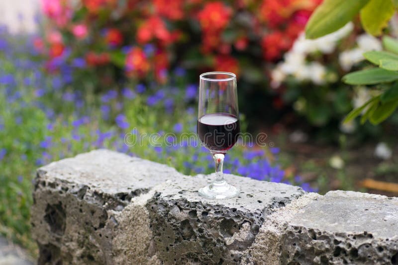 Kleines Glas Wein Im Garten Stockfoto Bild Von Haus Glas 97760620