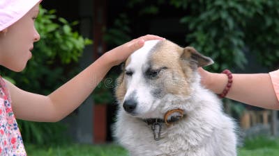 Kleines Mädchen Mit Mutter Streicheln Hund Im Freien Stock Footage - Video  von tochter, feiertag: 221969684