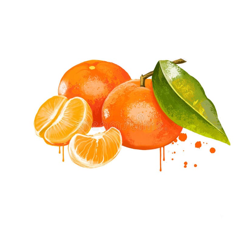 clementine oranges clementine oranges