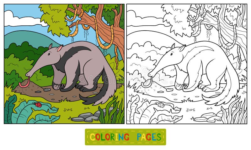 Kleurboek (miereneter) royalty-vrije illustratie