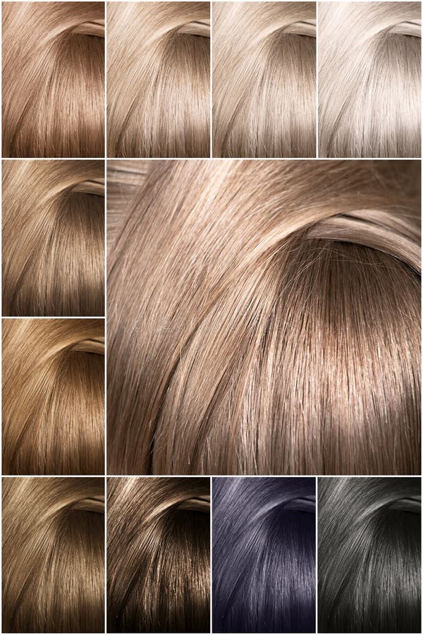 Het Palet Van De Haarkleur Met Een Brede Waaier Van Steekproeven Van Gekleurde Haarkleuren Schaduwen Van Koude Kleur Stock Foto - Image of eerlijk, zorg: 142158962