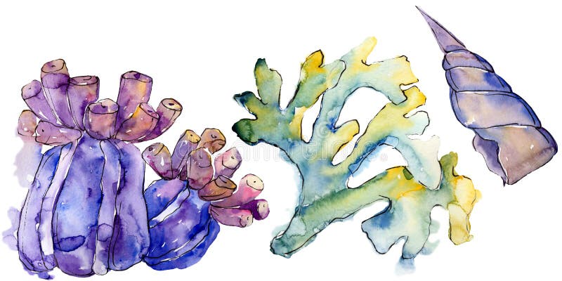 Kleurrijk aquatisch onderwateraardkoraalrif Geïsoleerd illustratieelement royalty-vrije illustratie Kleurrijk aquatisch onderwateraardkoraalrif Geïsoleerd illustratieelement royalty-vrije illustratie