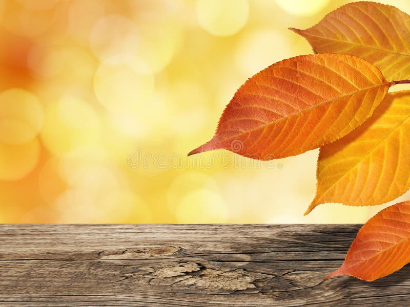 Kleurrijk Autumn Leaves op Bokeh-Achtergrond met Houten Lijst royalty-vrije stock foto's Kleurrijk Autumn Leaves op Bokeh-Achtergrond met Houten Lijst royalty-vrije stock foto's