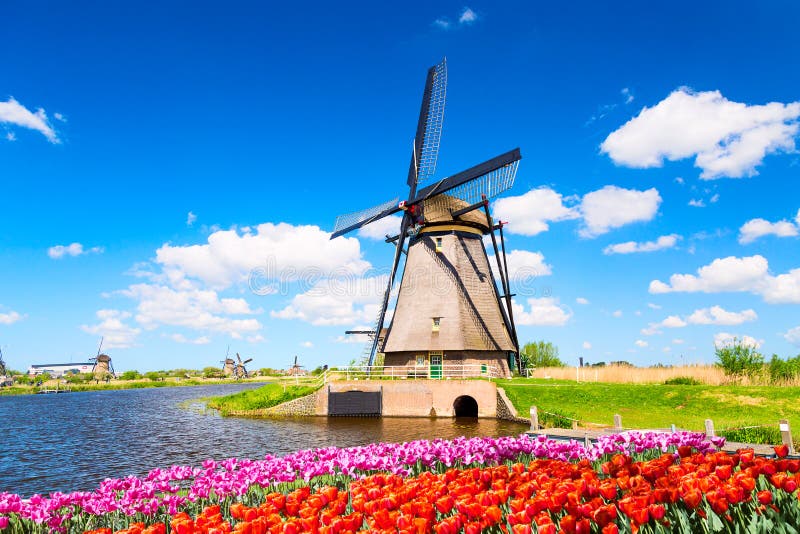 Kleurrijk de lentelandschap in Nederland, Europa De beroemde windmolen in Kinderdijk-dorp met tulpen bloeit bloembed in Holland