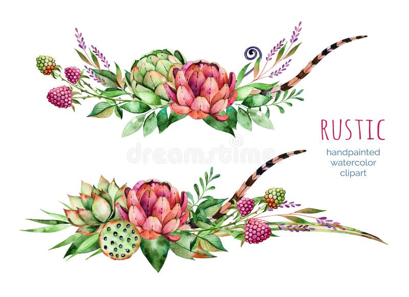 Kleurrijke bloemeninzameling met artisjok, bloemen, bladeren, veren, succulente installatie royalty-vrije illustratie Kleurrijke bloemeninzameling met artisjok, bloemen, bladeren, veren, succulente installatie royalty-vrije illustratie