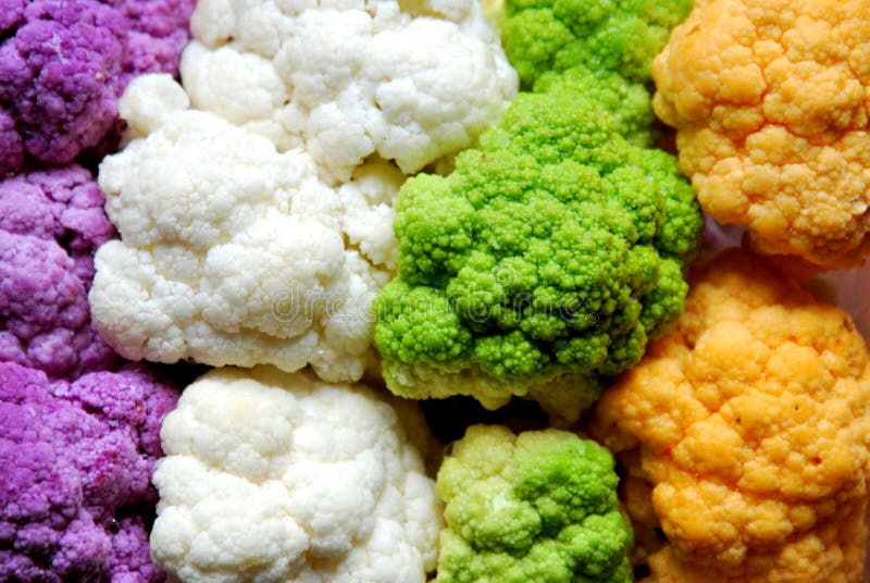 Kleurrijke bloemkool en broccoli: purper, wit, groen, sinaasappel