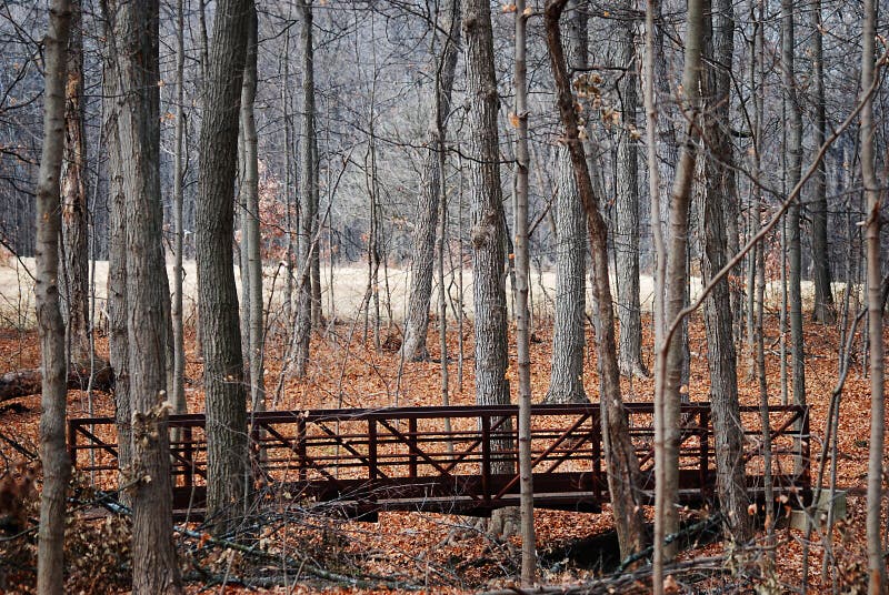Kleurrijke dalingsbladeren met brug door het hout stock fotografie Kleurrijke dalingsbladeren met brug door het hout stock fotografie