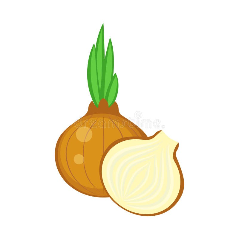 Kleurrijke gehele en halve ui vectordieillustratie op w wordt geïsoleerd stock illustratie Kleurrijke gehele en halve ui vectordieillustratie op w wordt geïsoleerd stock illustratie