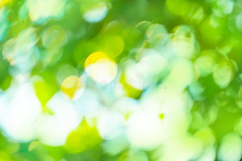 Kleurrijke groene ontocusseerde textuur voor uw ontwerp. groene natuurlijke achtergrond met bokeh royalty-vrije stock foto's Kleurrijke groene ontocusseerde textuur voor uw ontwerp. groene natuurlijke achtergrond met bokeh royalty-vrije stock foto's