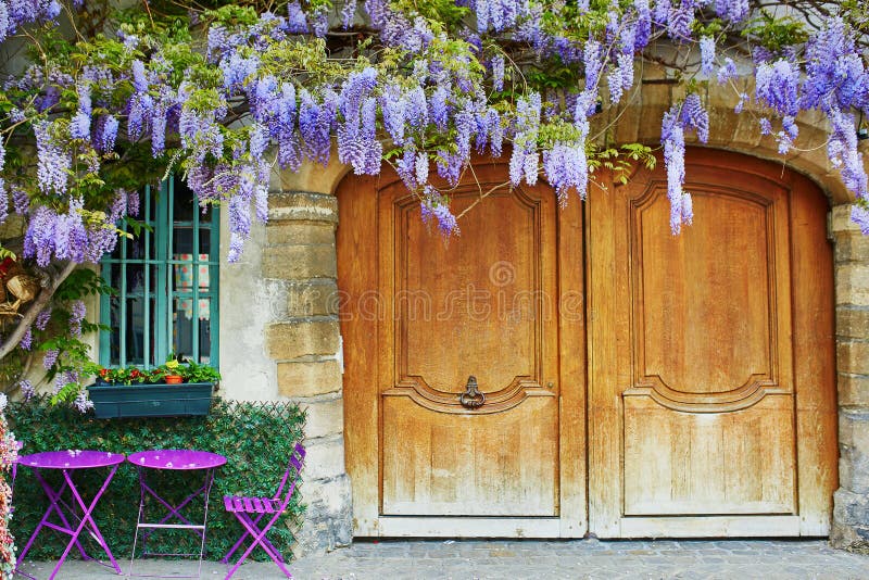 Colorful purple tables of outdoor Parisian cafe and wisteria in full bloom with violet and magenta flowers, Paris, France. Colorful purple tables of outdoor Parisian cafe and wisteria in full bloom with violet and magenta flowers, Paris, France