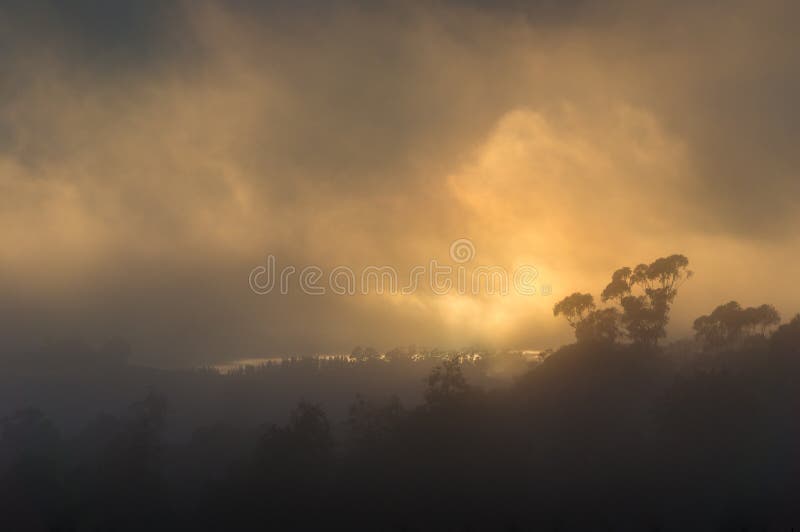 Wildfire smoke background at sunset. Massive smoke from bushfire sunlit by sun. Climate change desaster apocalyptic landscape with orange smoke from burning in fire forests. Wildfire smoke background at sunset. Massive smoke from bushfire sunlit by sun. Climate change desaster apocalyptic landscape with orange smoke from burning in fire forests