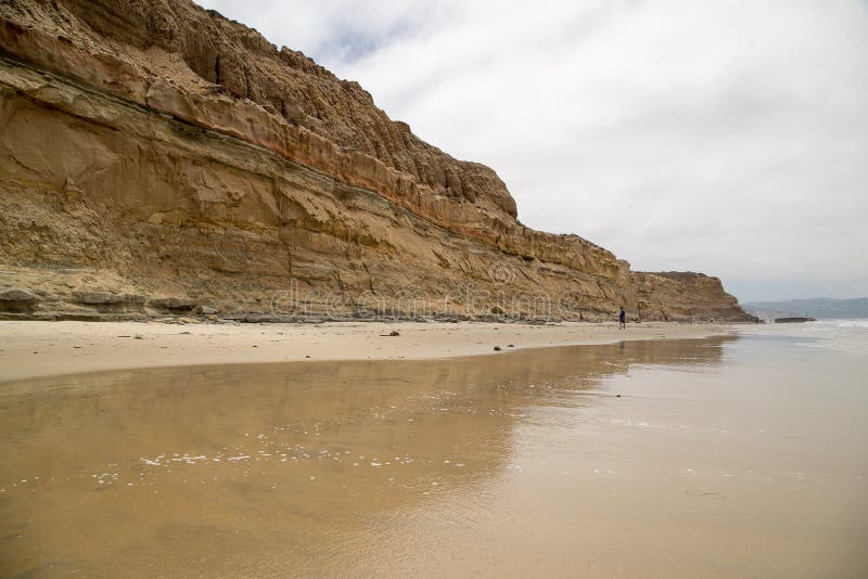 Klippen en strand in Torrey Pines State Natural Reserve royalty-vrije stock afbeeldingen Klippen en strand in Torrey Pines State Natural Reserve royalty-vrije stock afbeeldingen