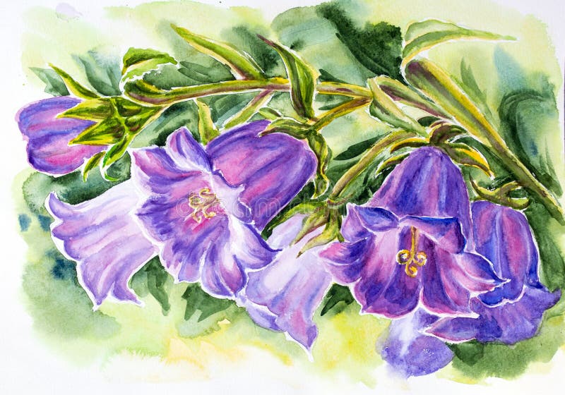 Klokbloemen stock illustratie Klokbloemen stock illustratie