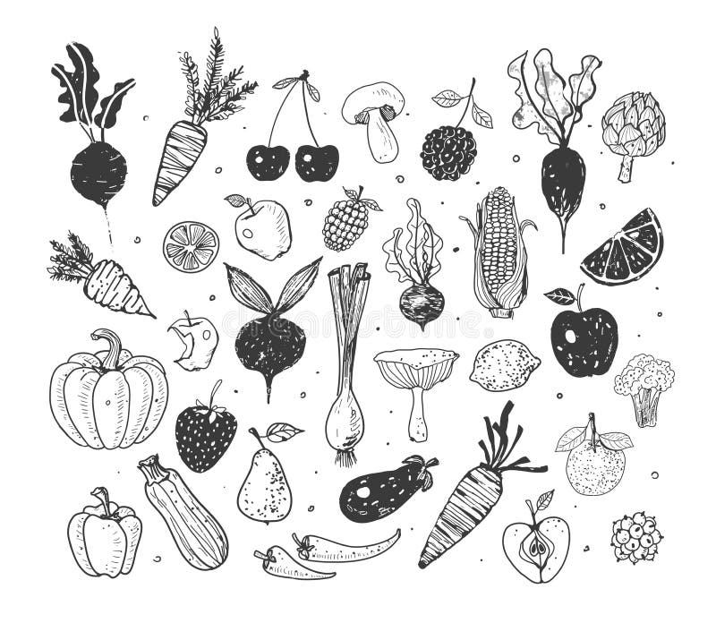 Klotterfrukter och grönsaker Vektorn skissar illustrationen av sund mat vektor illustrationer Klotterfrukter och grönsaker Vektorn skissar illustrationen av sund mat vektor illustrationer