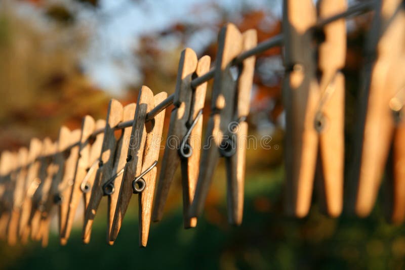 Clothes pegs waiting for laundry day. Clothes pegs waiting for laundry day