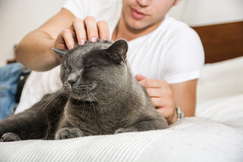 Knappe Jonge Mens die zijn Gray Cat Pet knuffelen