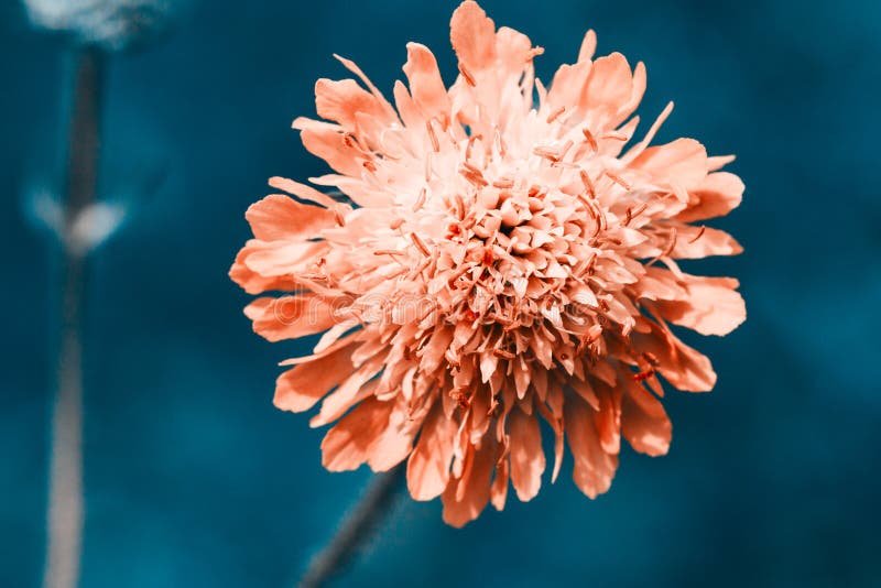 751 766 Horizontal Summer Photos Free Royalty Free Stock Photos From Dreamstime 751 766 Horizontal Summer Photos Free Royalty Free Stock Photos From Dreamstime